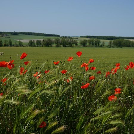 Logis Auberge De Crissay Zewnętrze zdjęcie